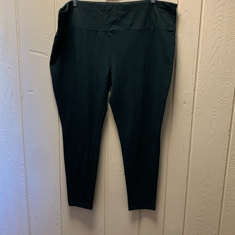 Terra & sky women’s 3x leggings